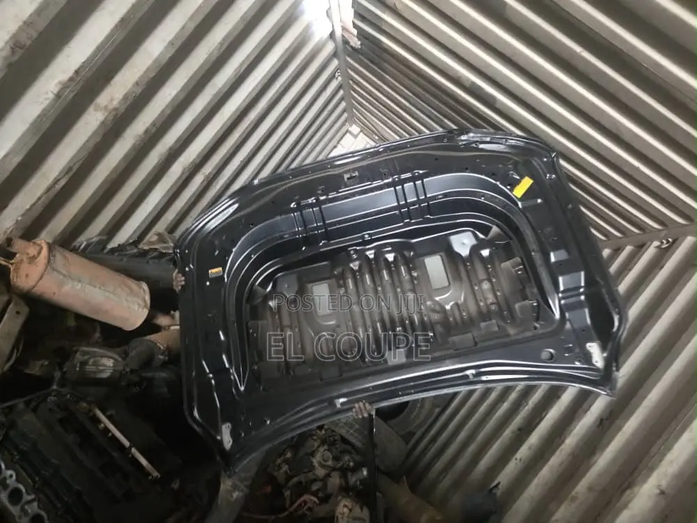 Land Cruiser V8 2022-2023-2024-2025 Bonnet Homeused