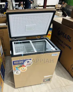 Single Door 142L Nasco Chest Freezer(Nas200fl)Gold