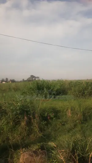 Land for Sale at Dodowa