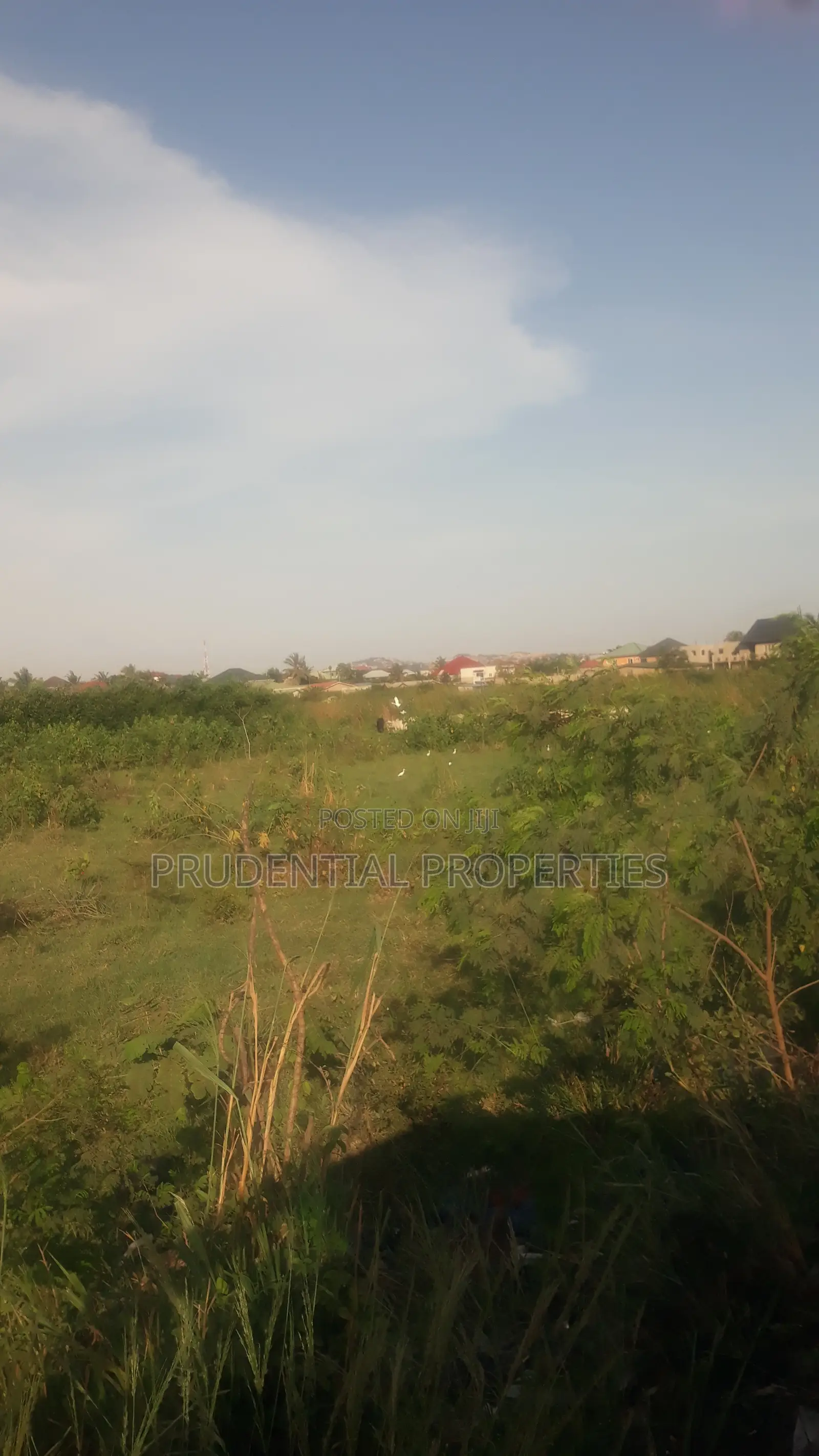 Land for Sale at Dodowa