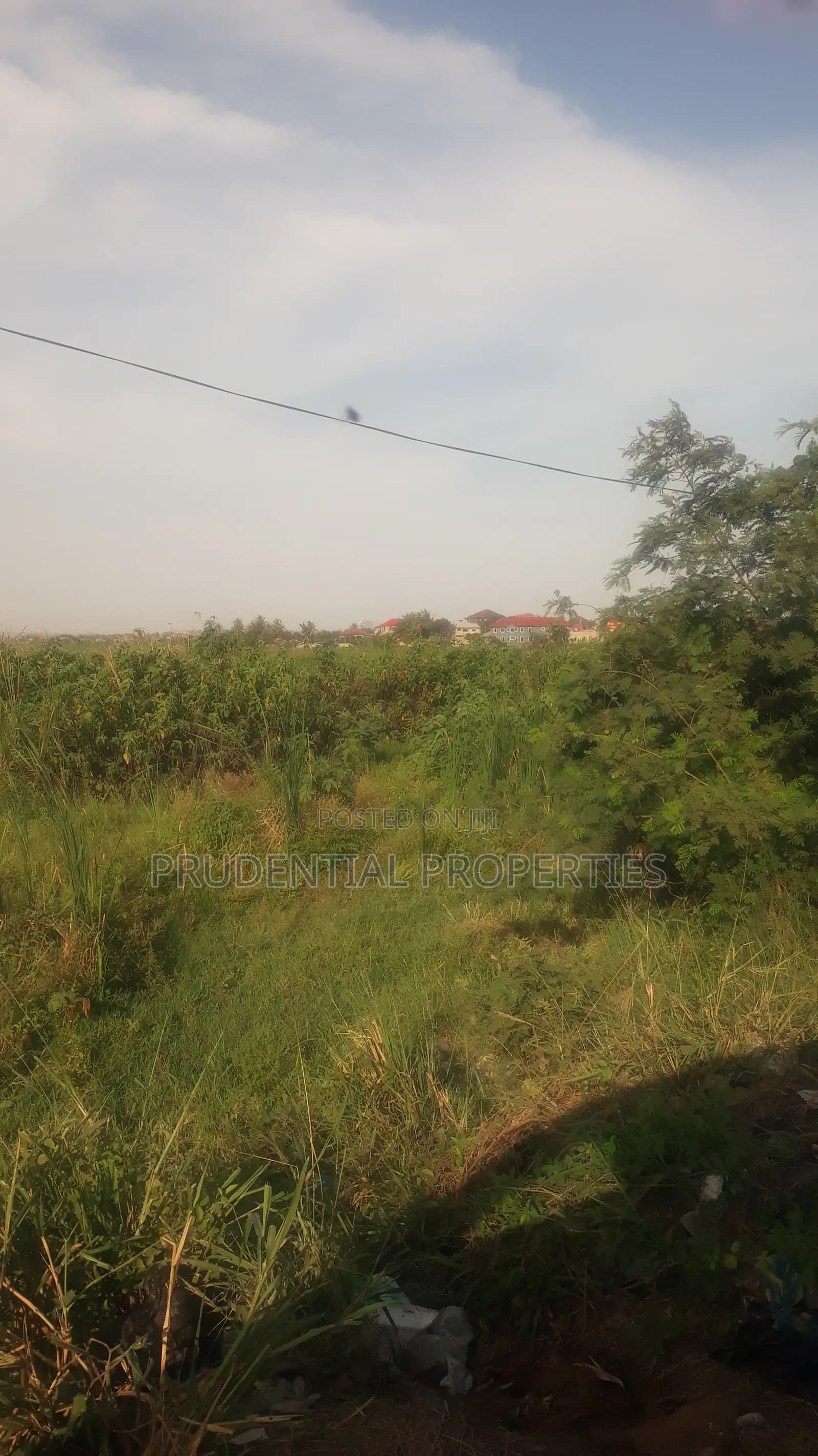 Land for Sale at Dodowa