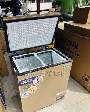 Unique 142L Single Door Chest(Nasco Nas200fl)Gold