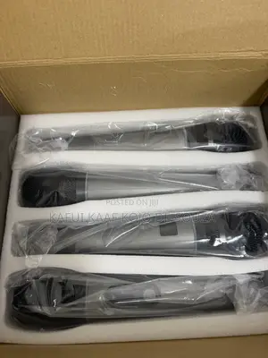 4 in 1 Wireless Microphone
