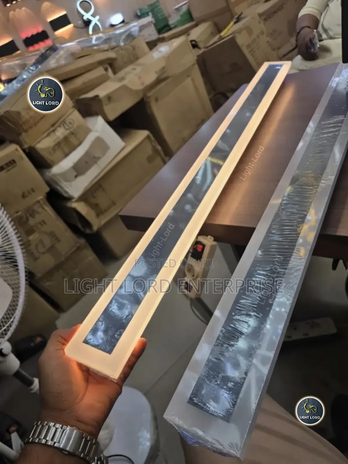 Lexie Long Outdoor Led Wall Light