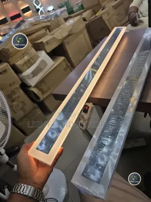 Lexie Long Outdoor Led Wall Light