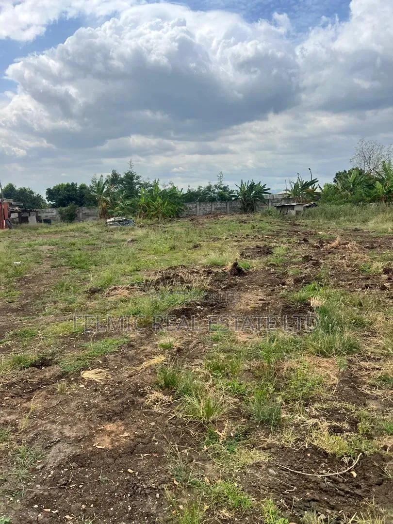 Roadside 2 Plots at Afienya for Sale