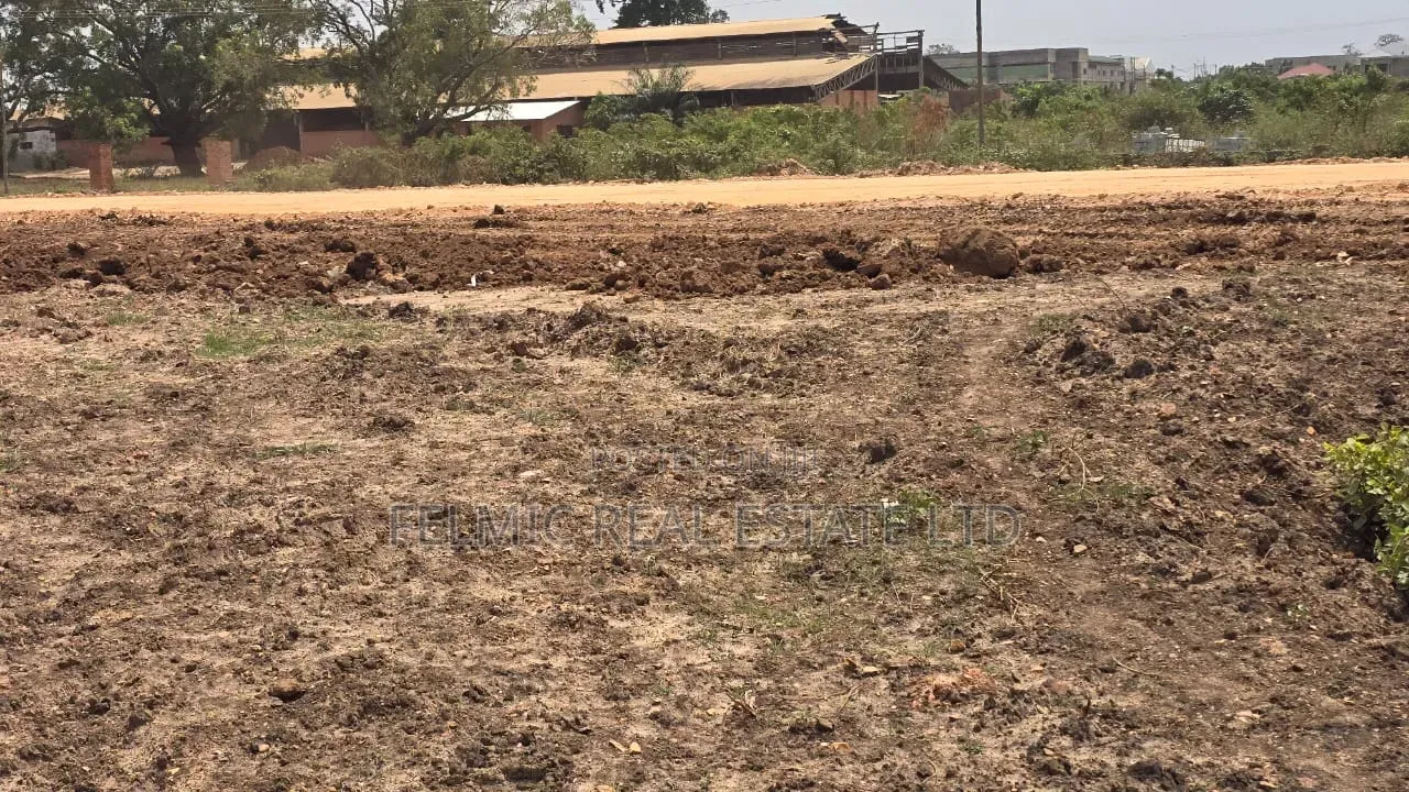 Roadside 110x80ft Plot at Afienya Odumsey for Sale