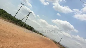 Roadside 110x80ft Plot at Afienya Odumsey for Sale