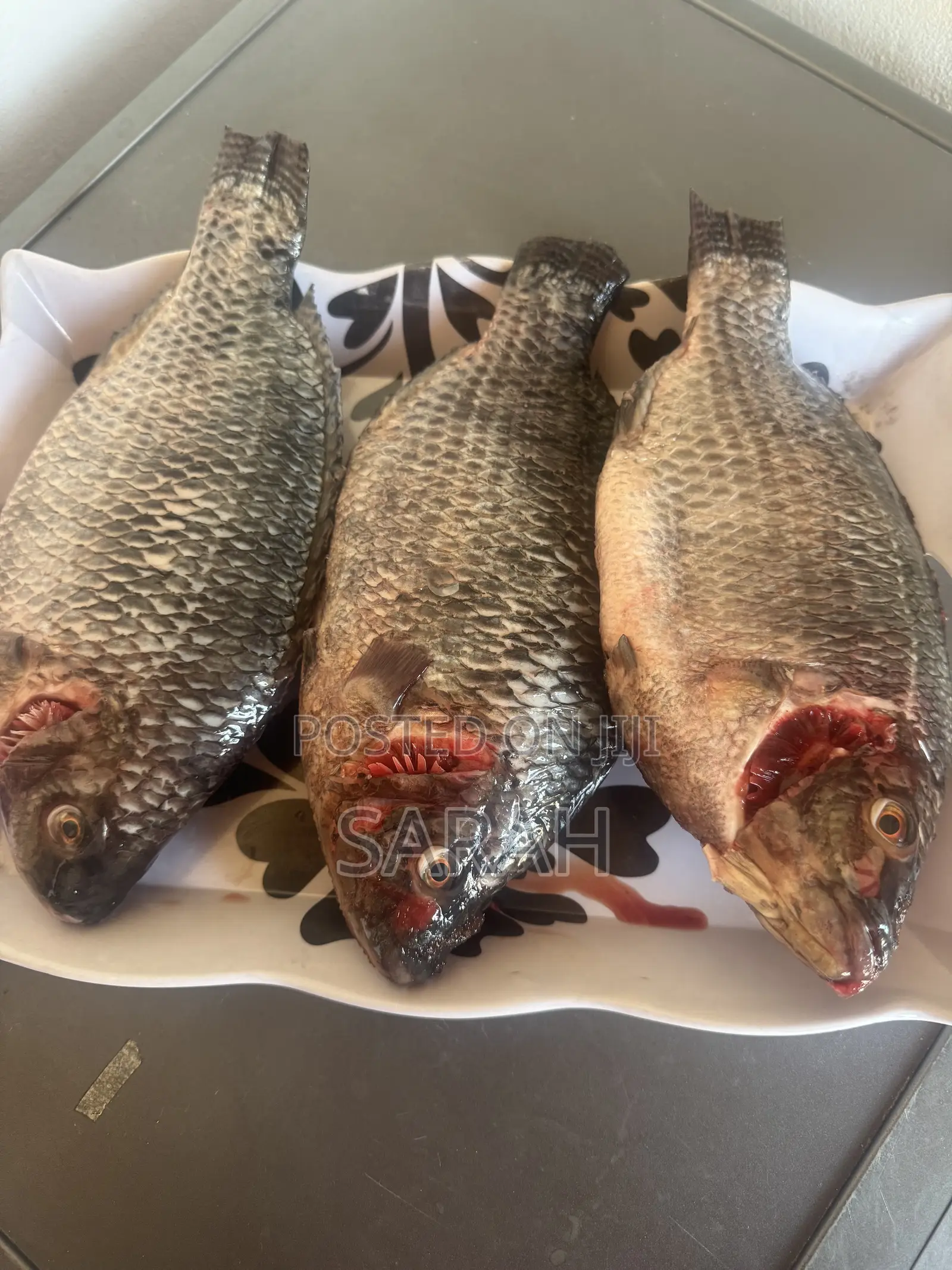 Fresh Tilapia Available in All Sizes
