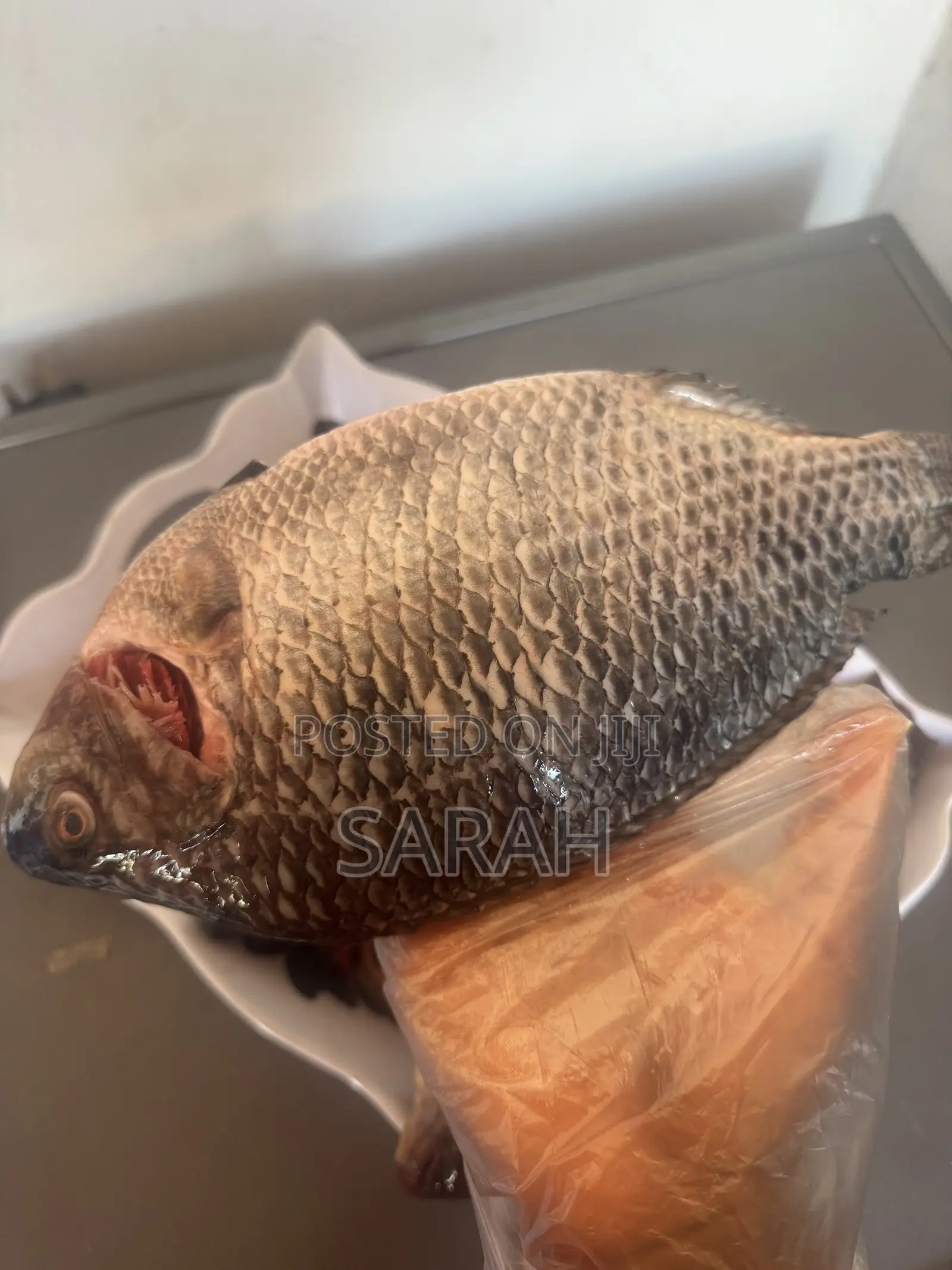 Fresh Tilapia Available in All Sizes