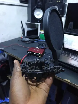 Microphone Shock Mount & Pop Filter