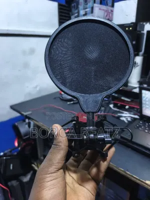 Microphone Shock Mount & Pop Filter