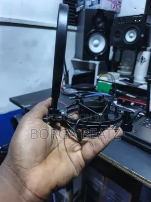 Microphone Shock Mount & Pop Filter