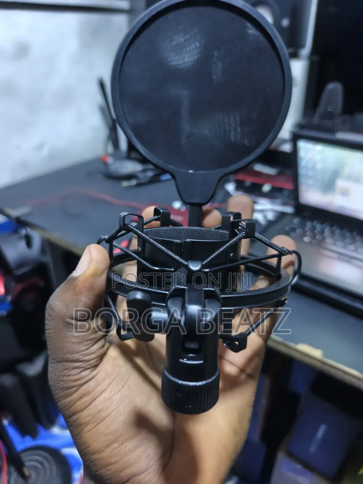 Microphone Shock Mount & Pop Filter