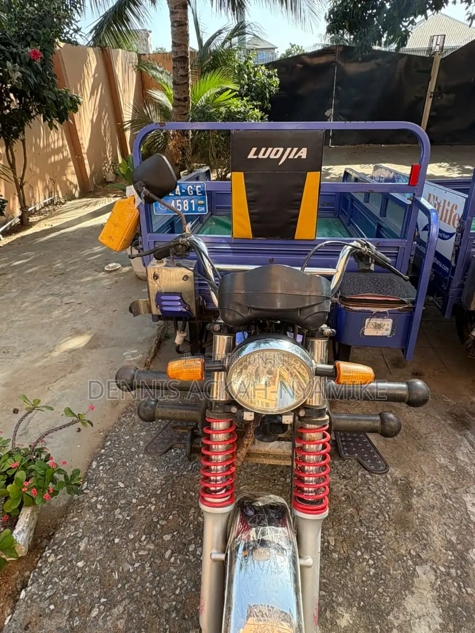 Luojia Cargo Tricycle 2013 Blue