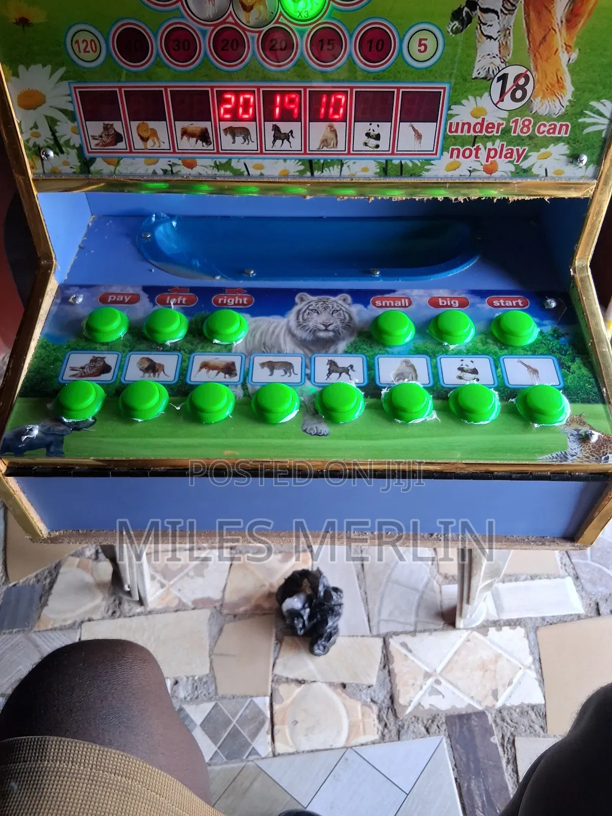 Jackpot Game