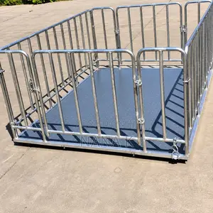 Platform Weighing Scale With Fence