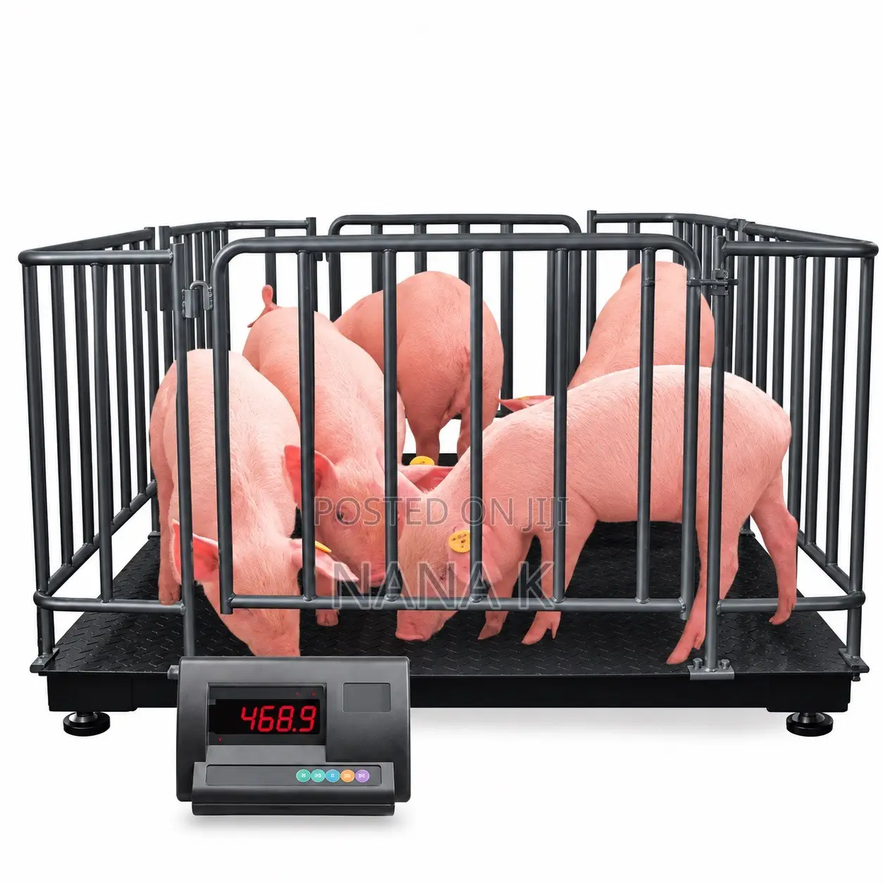Platform Weighing Scale With Fence