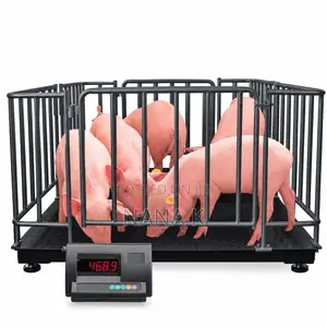Platform Weighing Scale With Fence
