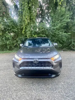 Toyota RAV4 LE 2022 Gray