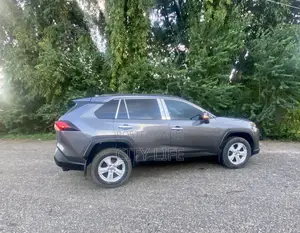 Toyota RAV4 LE 2022 Gray