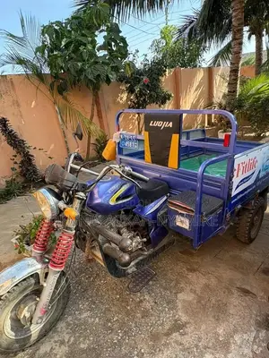 Luojia Cargo Tricycle 2013 Blue