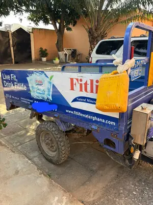 Luojia Cargo Tricycle 2013 Blue