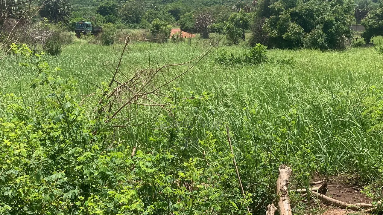2plots Land for Sale at Dodowa
