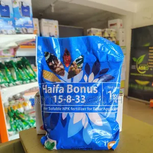 Haifa Bonus