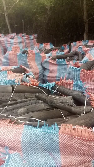 Charcoal for Sale