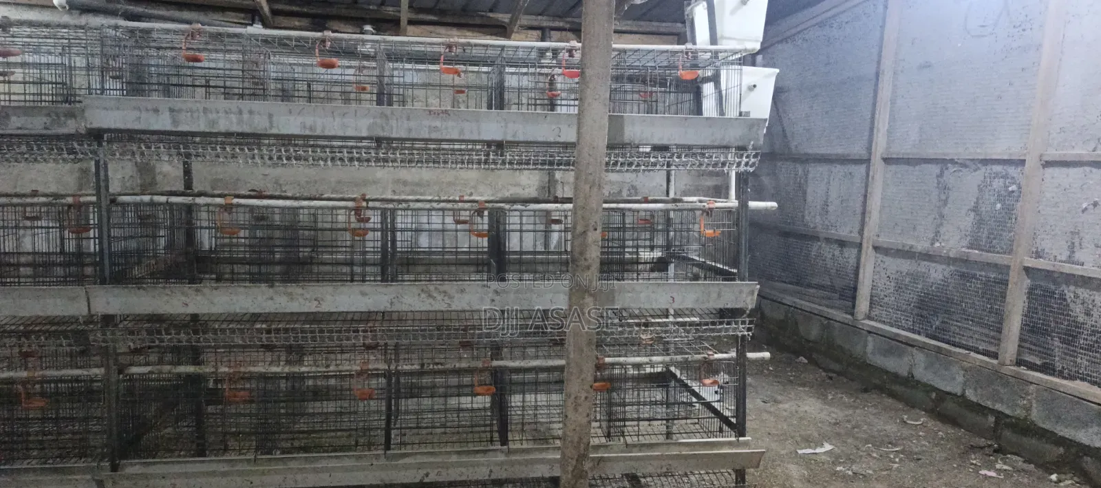 H Type Battery Cages for Sale, (Contain 120 Chickens)