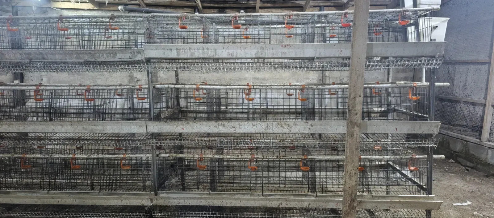 H Type Battery Cages for Sale, (Contain 120 Chickens)