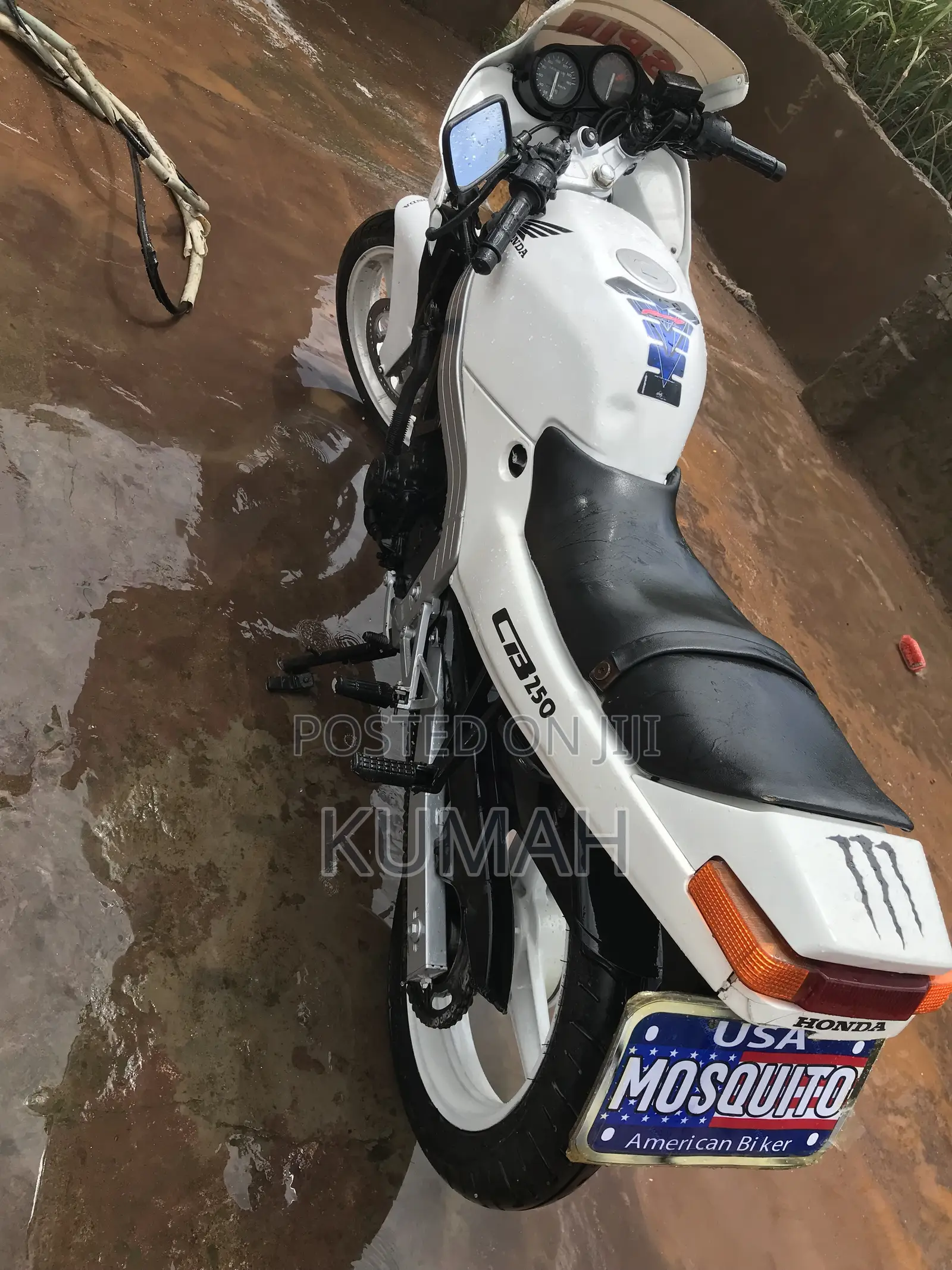 Honda CB 1999 White
