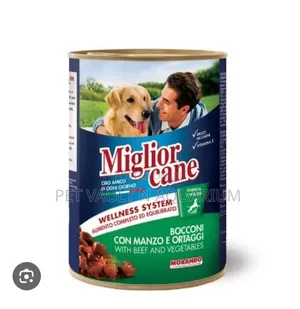 Miglior Cane for Dog N Puppy