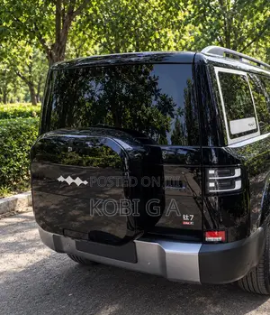 New BYD Leopard 7 2026 Black