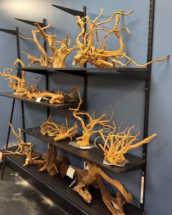 Premium Aquarium Driftwood