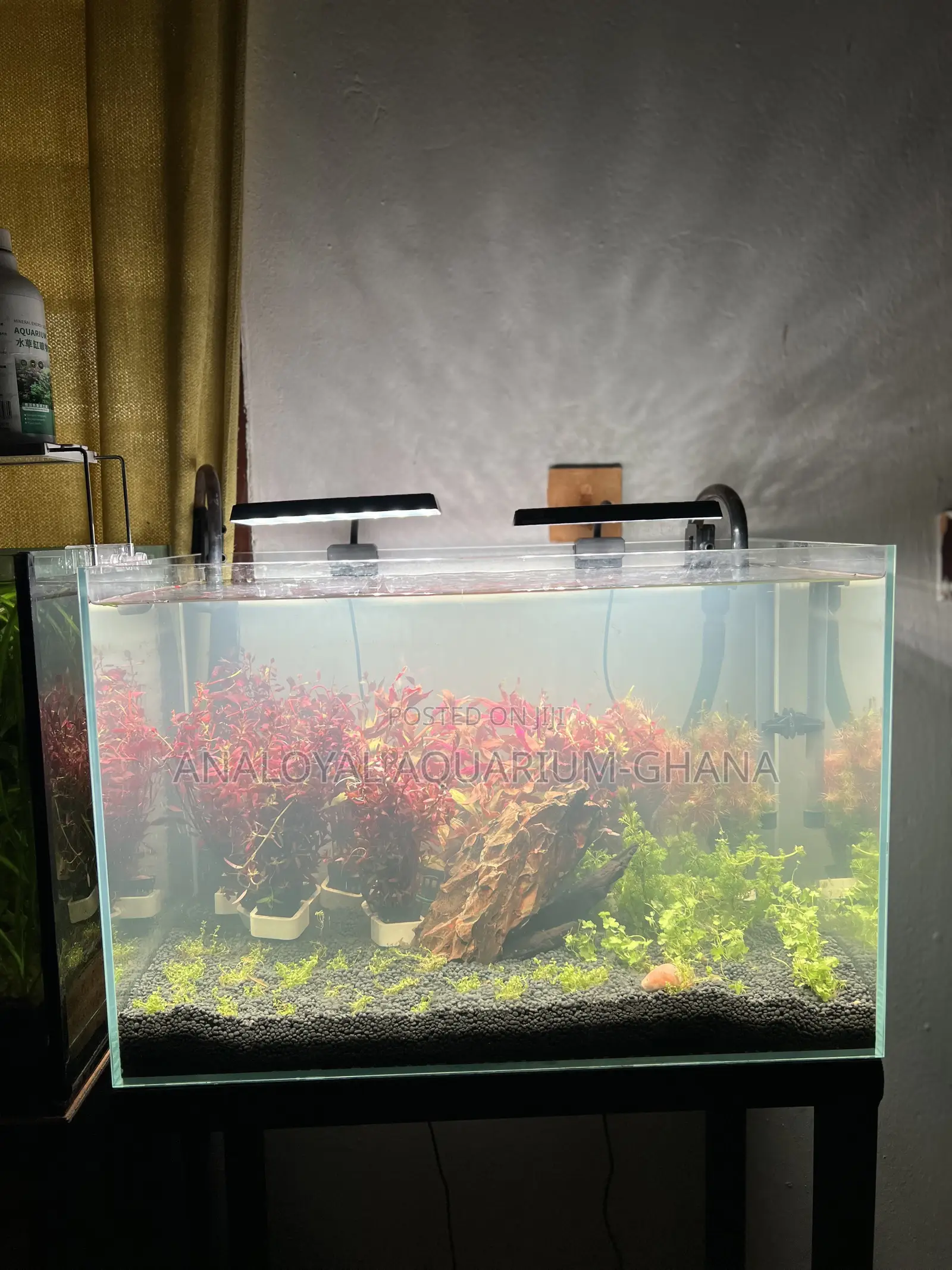 PREMIUM Aquascape