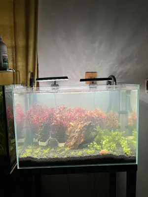 PREMIUM Aquascape