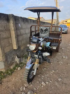 Tricycle 2026 Brown