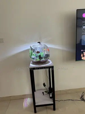 Fish Bowl Aquarium