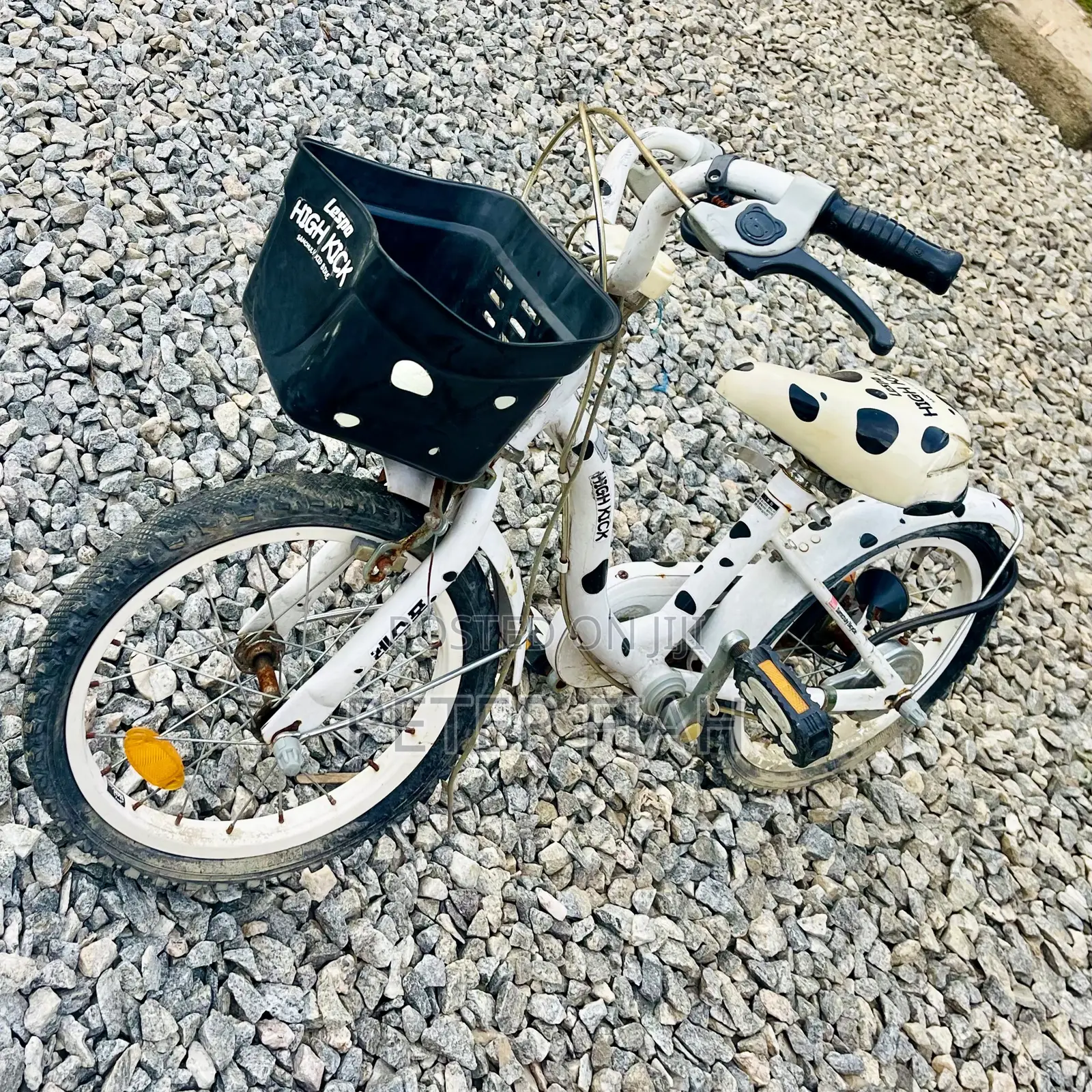 Children's Single-Speed Pedagogical Sidewalk Bicycle