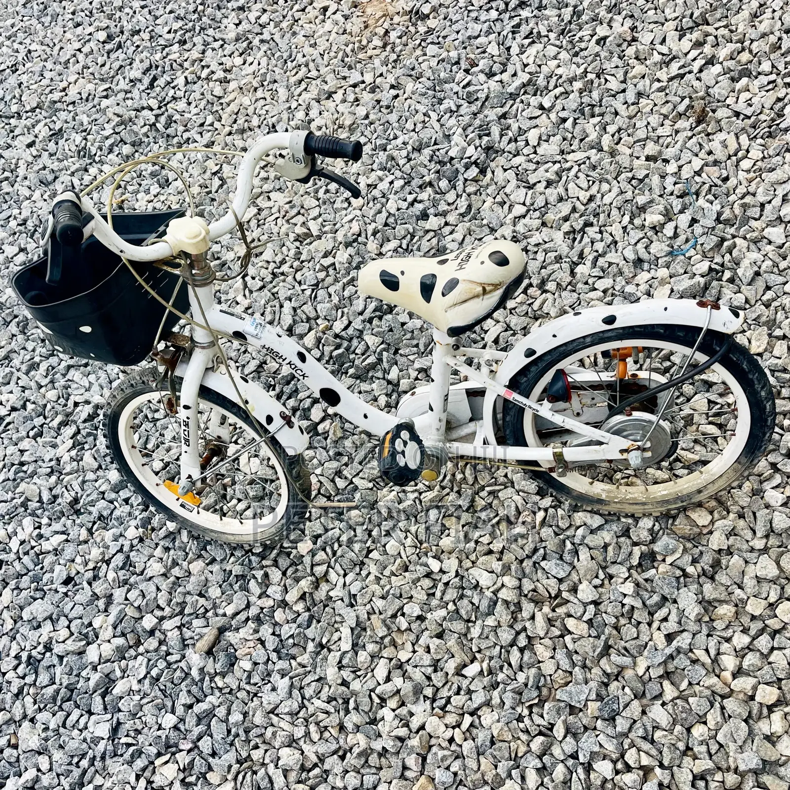 Children's Single-Speed Pedagogical Sidewalk Bicycle