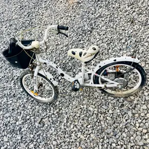 Children's Single-Speed Pedagogical Sidewalk Bicycle