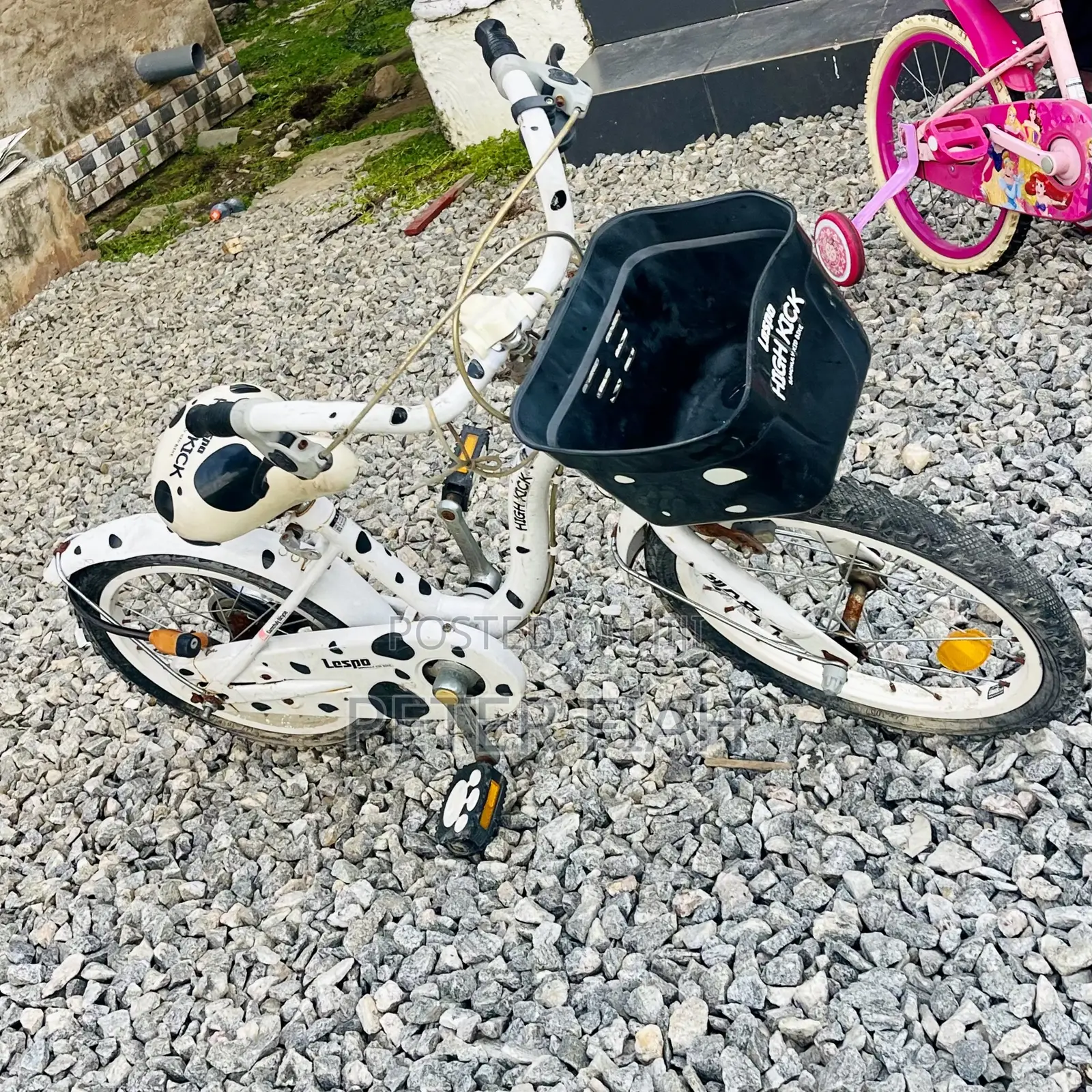 Children's Single-Speed Pedagogical Sidewalk Bicycle
