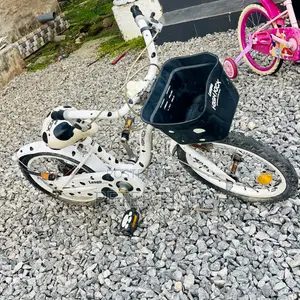 Children's Single-Speed Pedagogical Sidewalk Bicycle