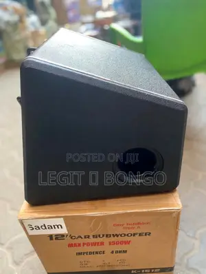 12" Car Subwoofer - Extra Heavy Bass!
