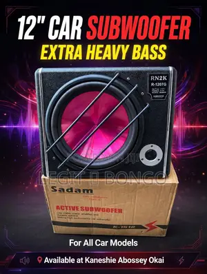 12" Car Subwoofer - Extra Heavy Bass!