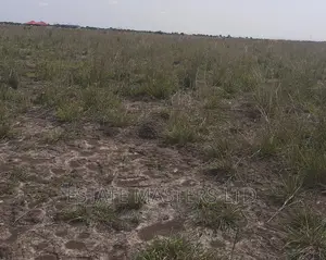 Land Near Central University