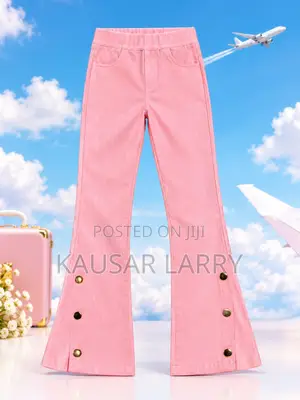 Pink Stylish Trousers
