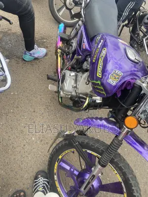 Royal RY125 2023 Purple